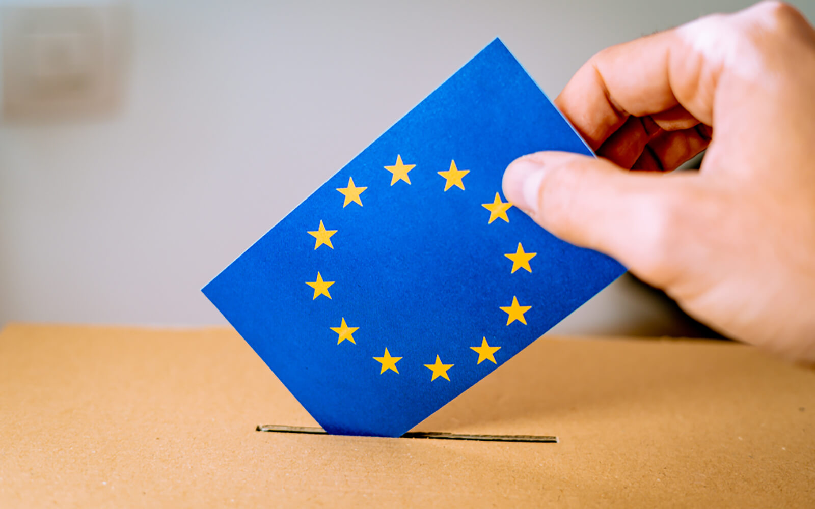 Die Europawahl