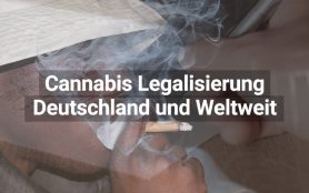 Cannabis Legalisierung: Deutschland und weltweit