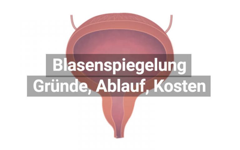 Nitrit im Urin - Laborwert und Bedeutung