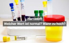 Harnstoff Normwerte