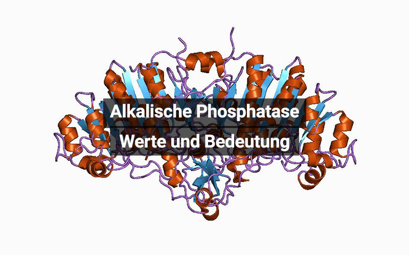 Alkalische Phosphatase