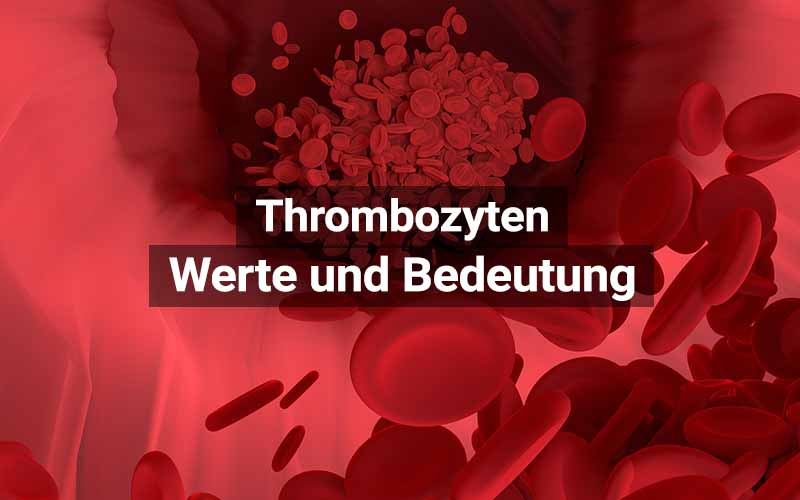 Thrombozyten