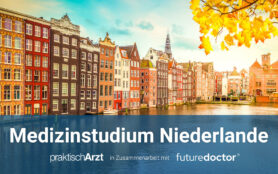 Medizinstudium Niederlande