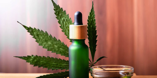 Cannabisoel