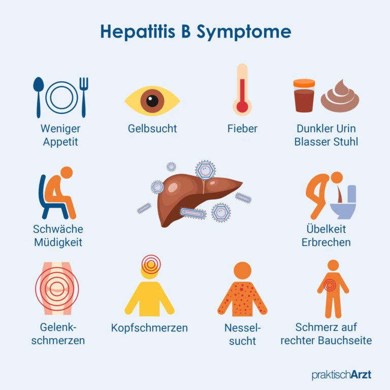 Hepatitis B | praktischArzt