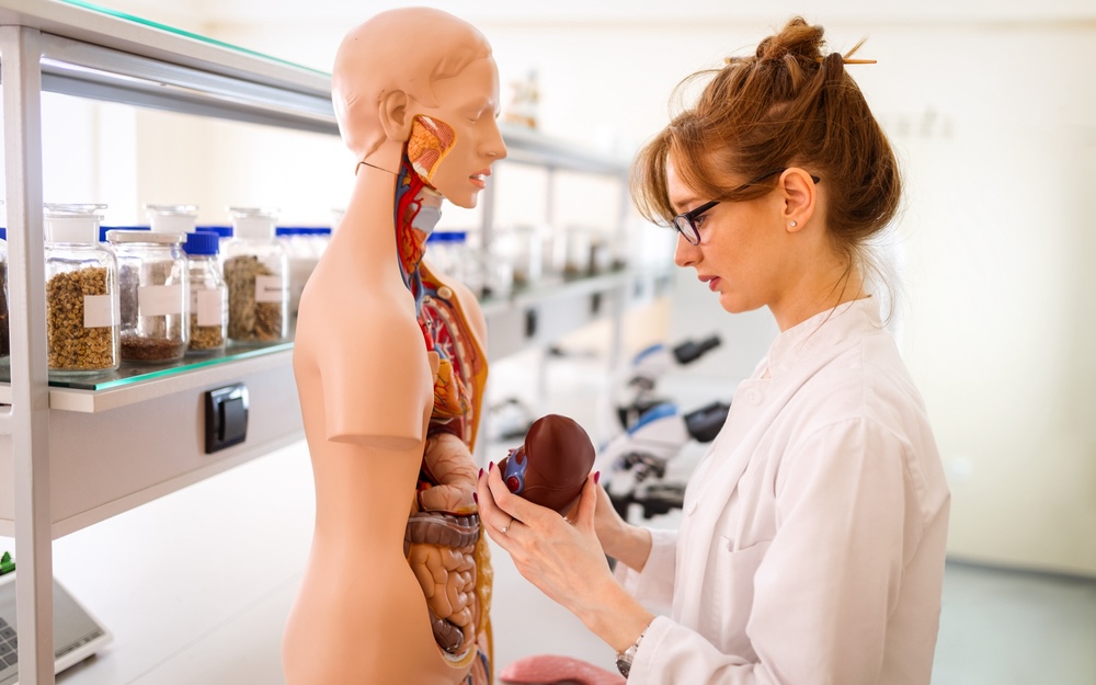 Humanmedizin