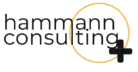 Hammann Consulting