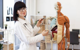 Anatomie