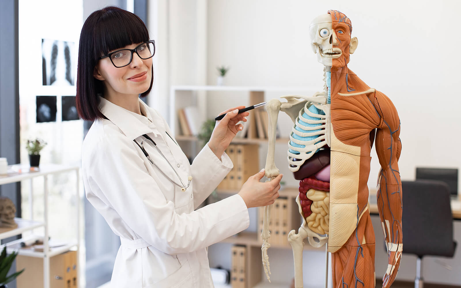 Anatomie