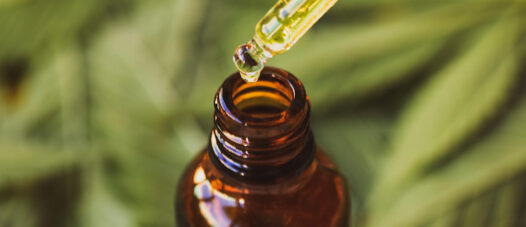 CBD öl