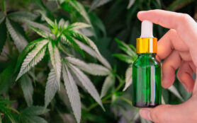 Cbd öl Die Besten Hersteller Im Vergleich