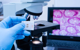 Medizinstudium Hauptfach Pathologie
