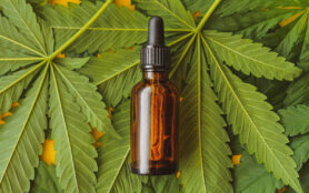 CBD Öl 20 %