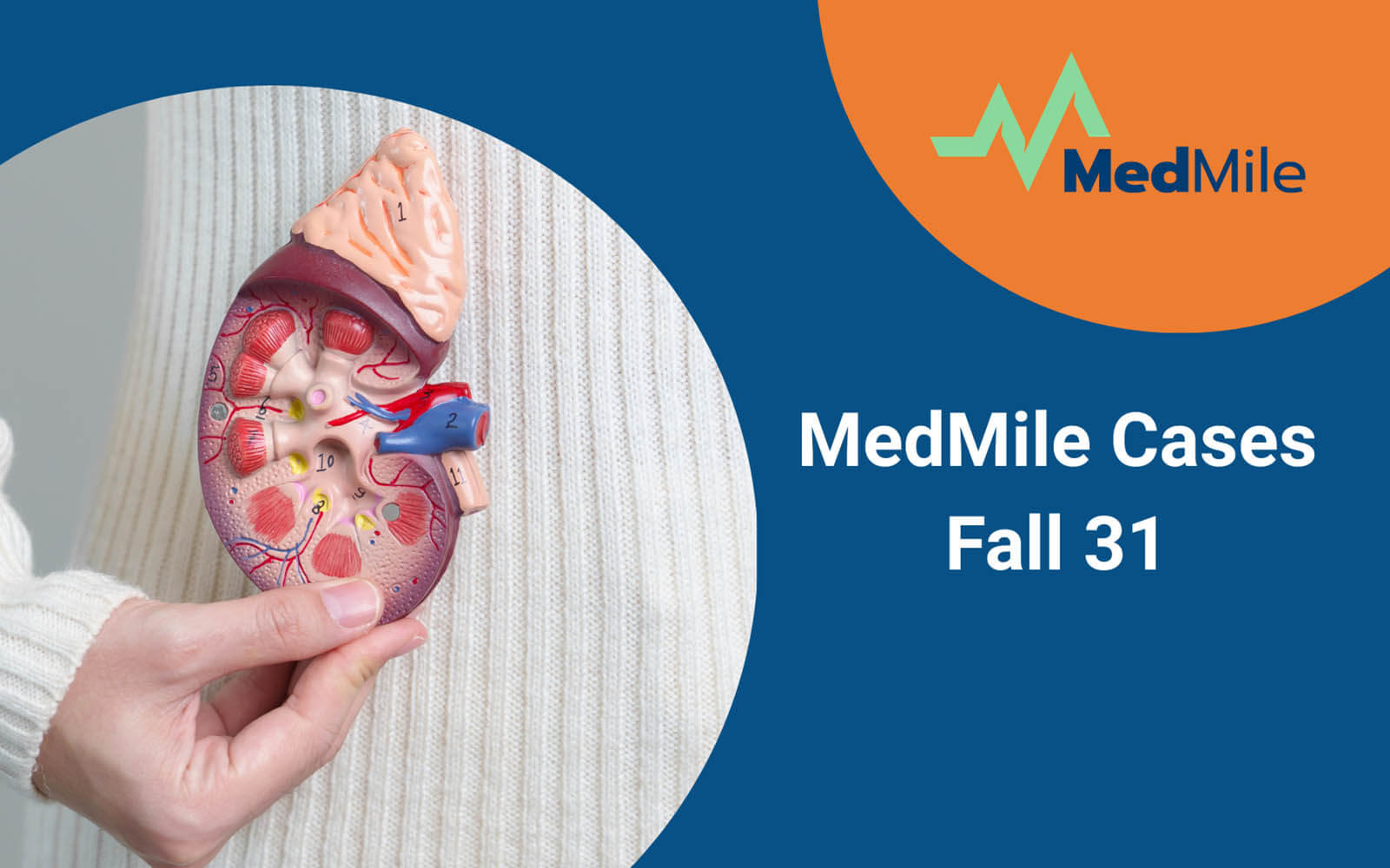 Medmile Cases Fall 31