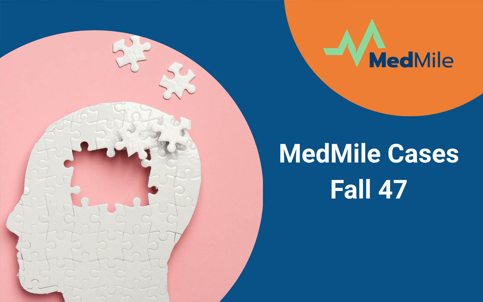 Medmile Cases Fall 47
