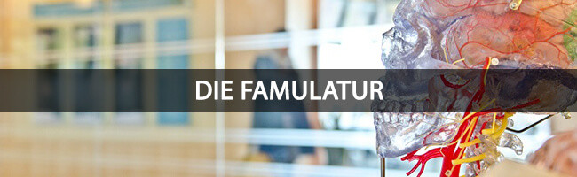 Famulatur Im Medizinstudium